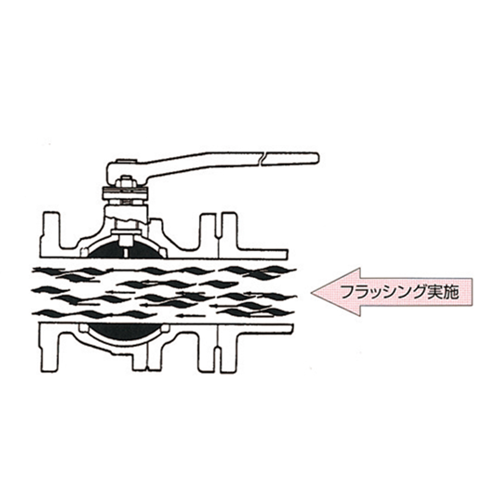 フラッシングの実施