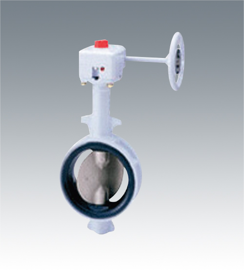 バタフライバルブ